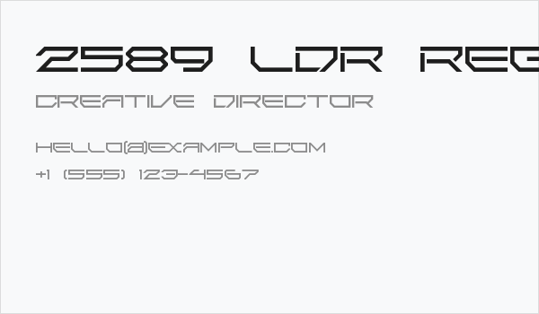 2589 LDR Regular Business Card