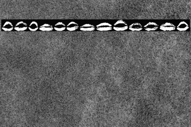 26 More Kisses Regular Caratteri examples