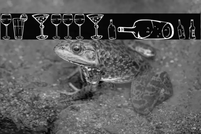 26alco Font examples