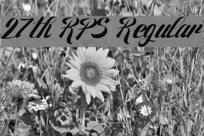 27th RPS Regular フォント examples