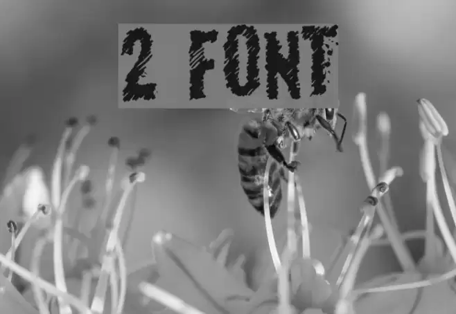 2 Font examples