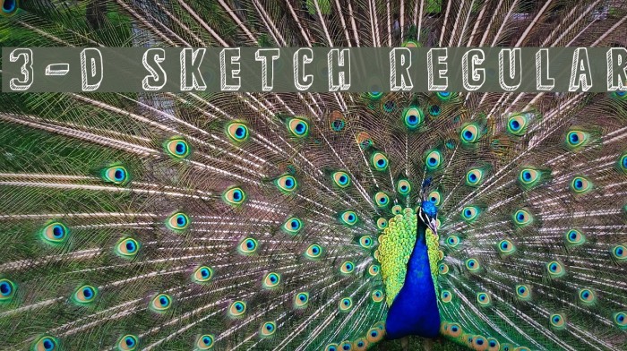 3-D Sketch Regular Example 1