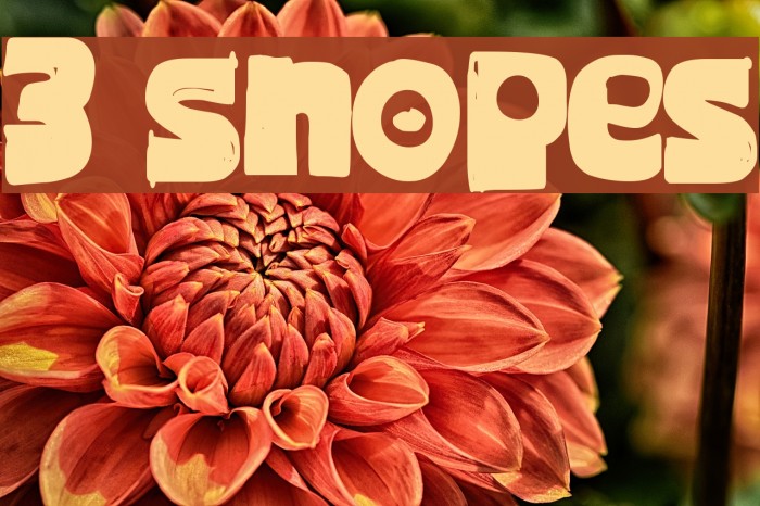 3 Snopes Шрифта examples