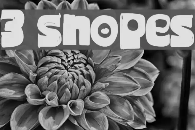 3 Snopes Font examples