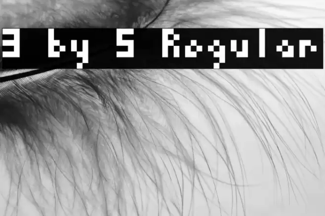 3 by 5 Regular Font examples