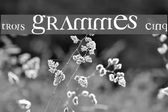 3 grammes 5 Font examples