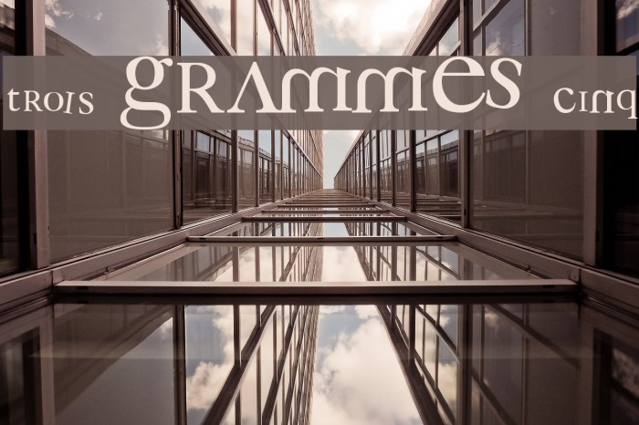 3 grammes 5 Font examples
