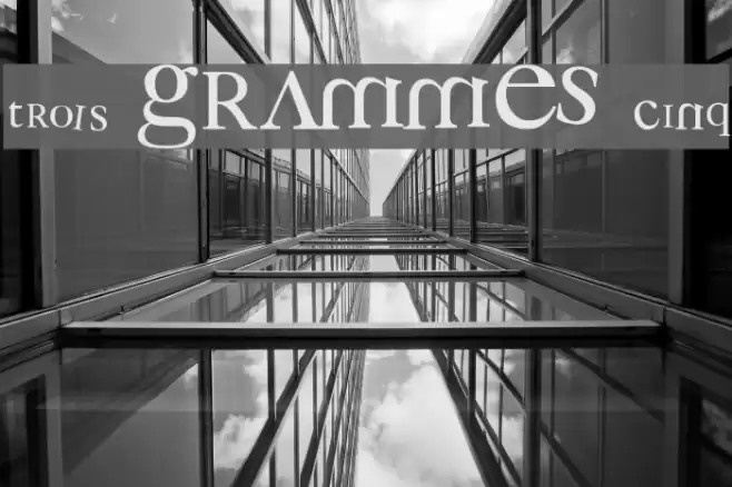 3 grammes 5 Font examples