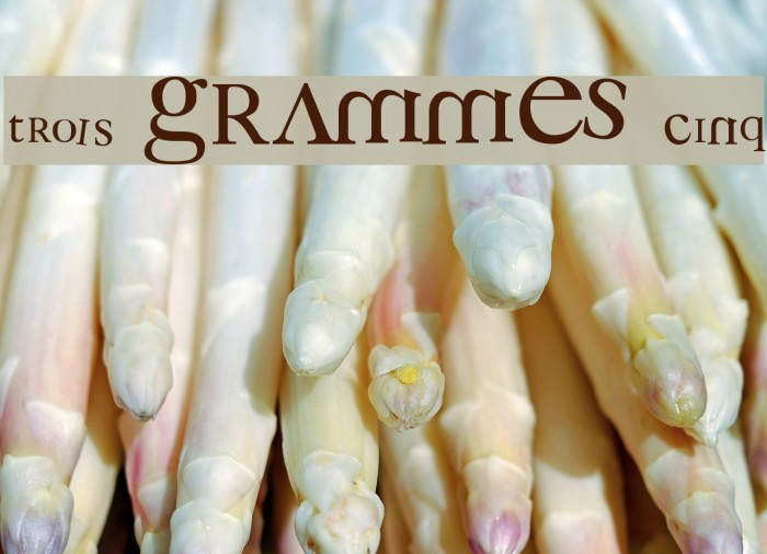 3 grammes 5 Font examples