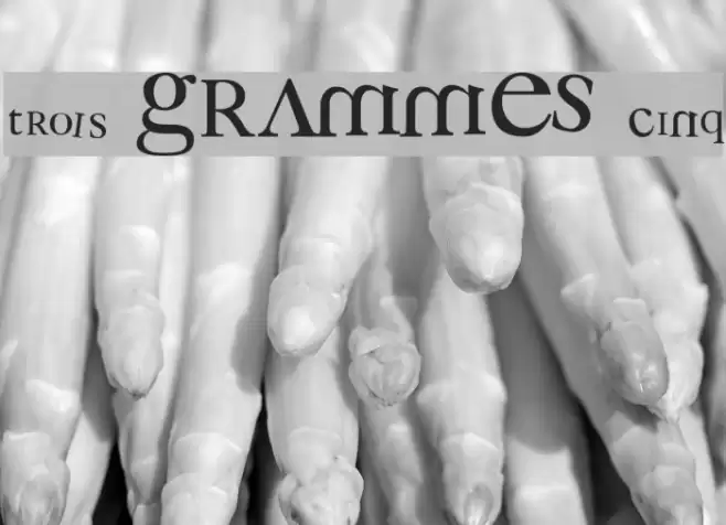 3 grammes 5 Font examples