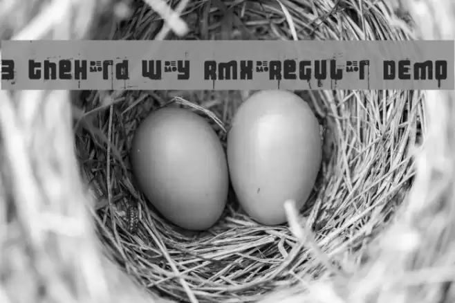 3 theHard way RMX-Regular DEMO Font examples