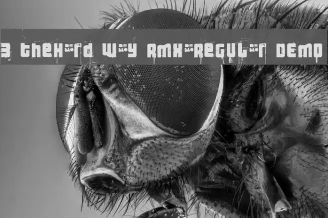 3 theHard way RMX-Regular DEMO Font examples