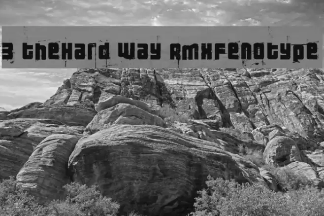 3 theHard way RMXfenotype フォント examples