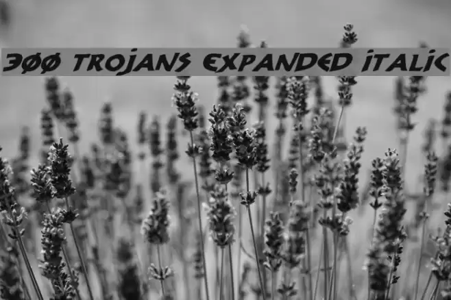 300 Trojans Expanded Italic Schriftart examples