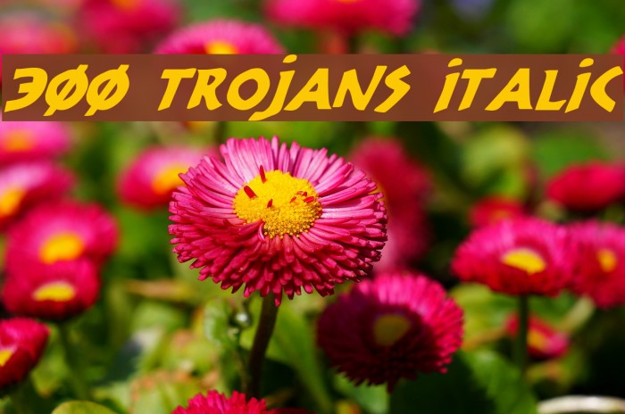 300 Trojans Italic Polices examples