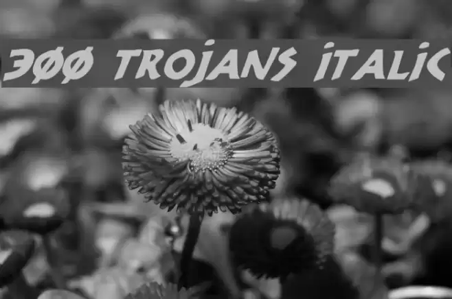 300 Trojans Italic Font examples