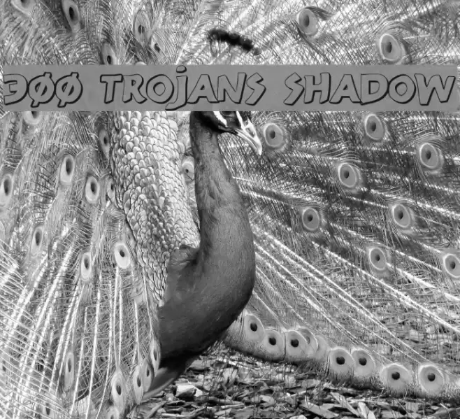 300 Trojans Shadow Font examples