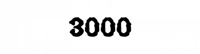 3000 