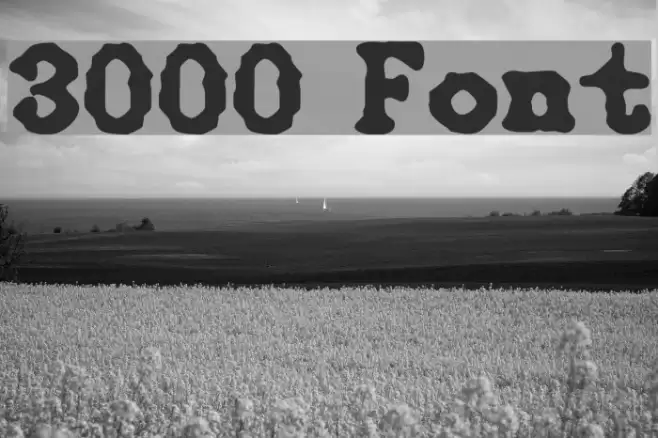 3000 Font examples