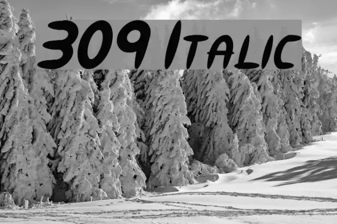 309 Italic Caratteri examples