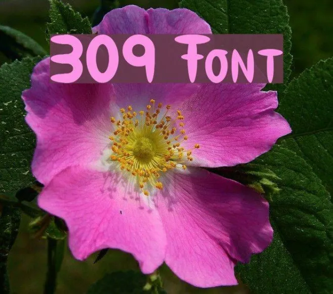 309 Example 2