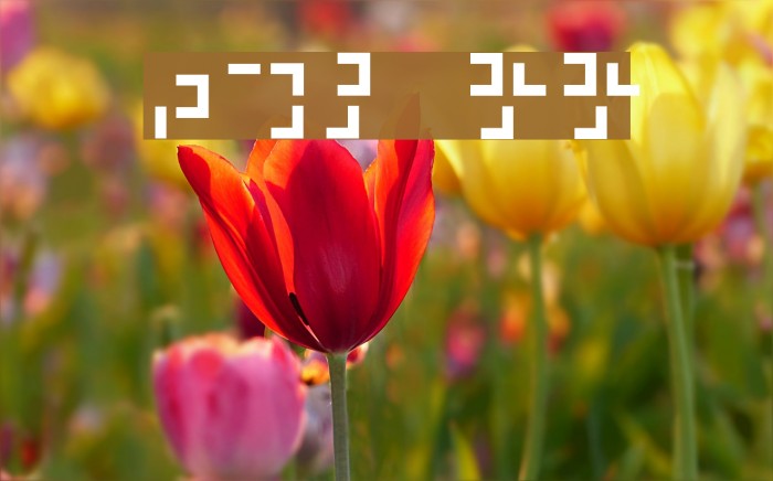 321 kana Font examples