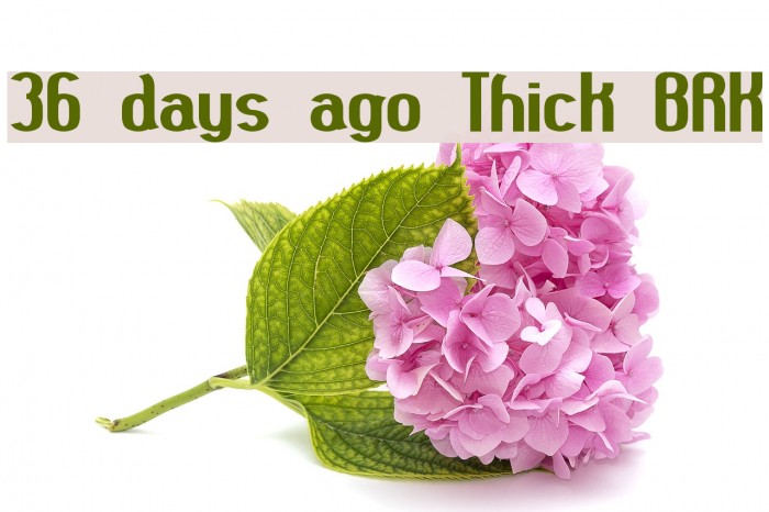36 days ago Thick BRK Font examples