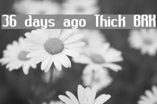 36 days ago Thick BRK Font examples
