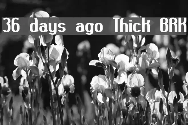 36 days ago Thick BRK Font examples