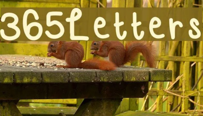 365Letters Example 3