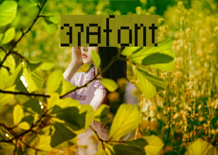 378font Font examples