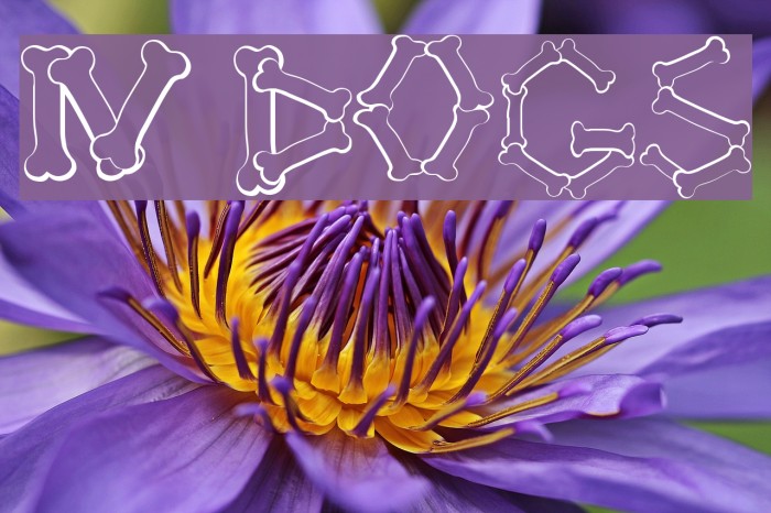 4 DOGS Font examples
