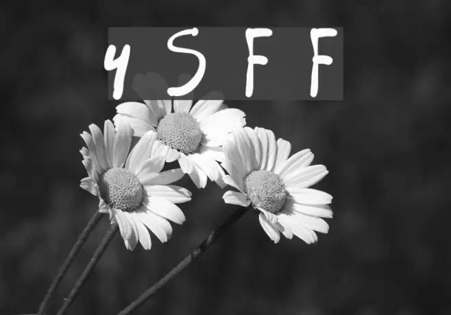 4 Star Face Font フォント examples