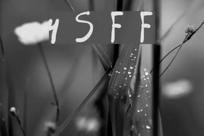 4 Star Face Font フォント examples