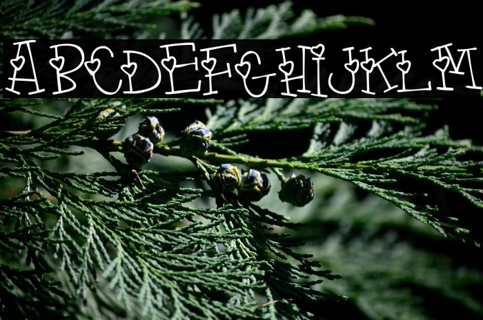 4 my lover Example 2