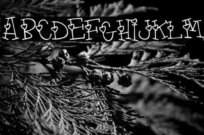 4 my lover Шрифта examples