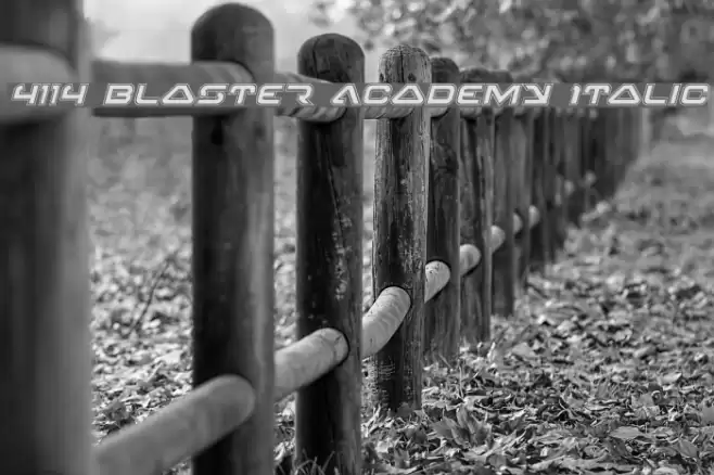 4114 Blaster Academy Italic フォント examples