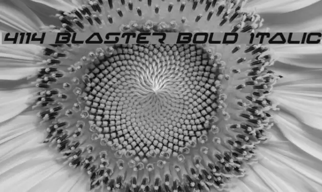 4114 Blaster Bold Italic Шрифта examples