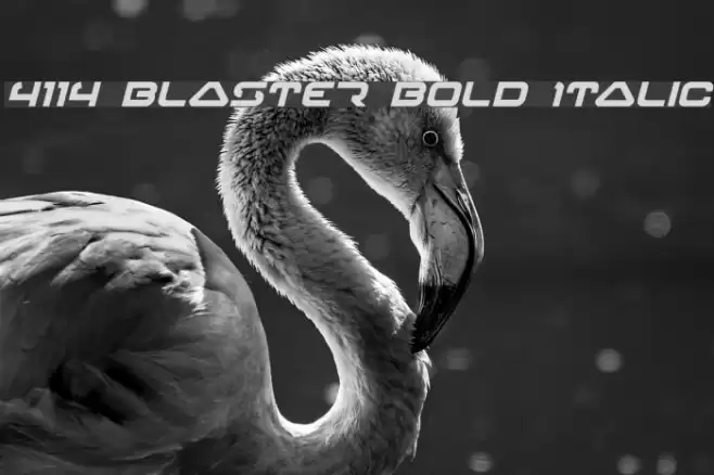 4114 Blaster Bold Italic Шрифта examples