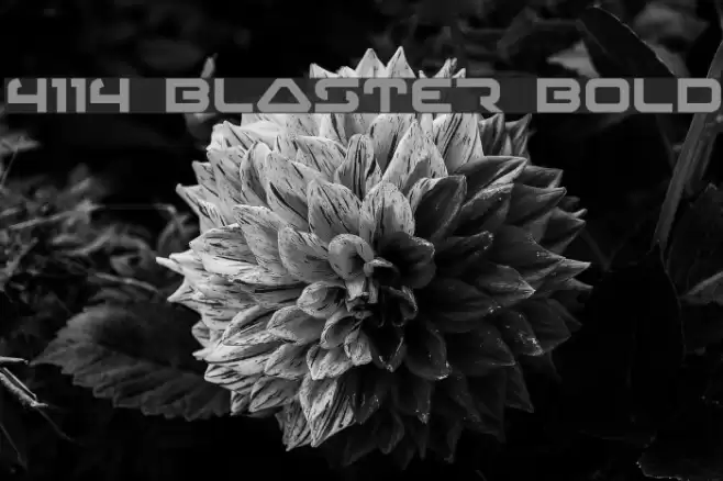4114 Blaster Bold フォント examples