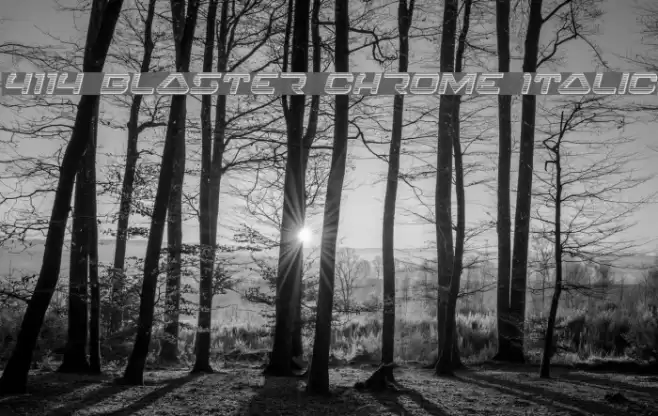 4114 Blaster Chrome Italic フォント examples
