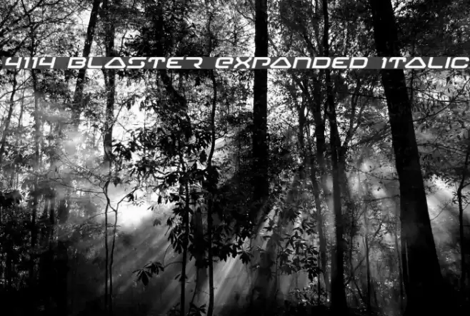 4114 Blaster Expanded Italic Schriftart examples