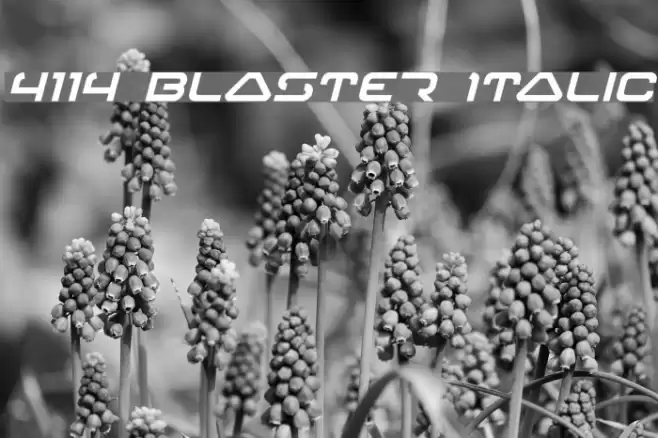 4114 Blaster Italic 字体 examples