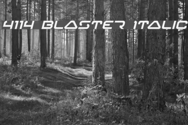 4114 Blaster Italic 字体 examples