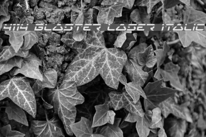 4114 Blaster Laser Italic Font examples
