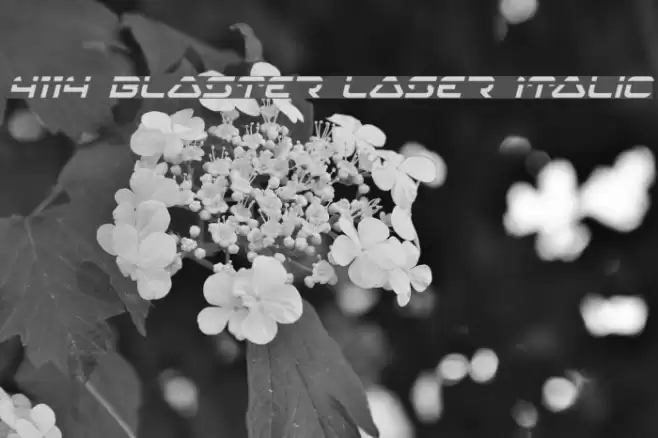 4114 Blaster Laser Italic Font examples