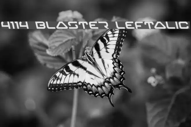 4114 Blaster Leftalic フォント examples