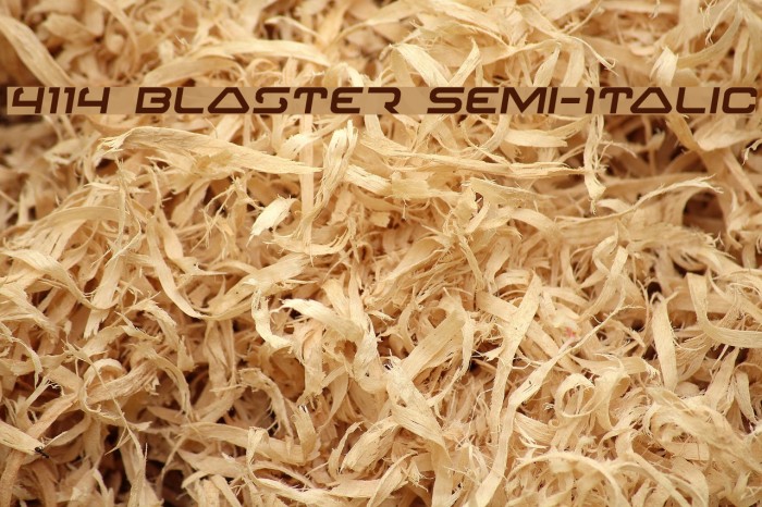 4114 Blaster Semi-Italic フォント examples