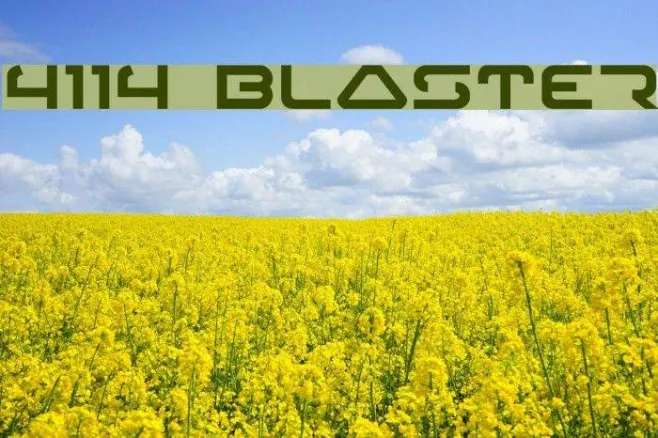4114 Blaster Example 1