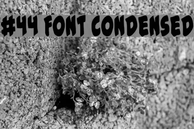 #44 Font Condensed Font examples